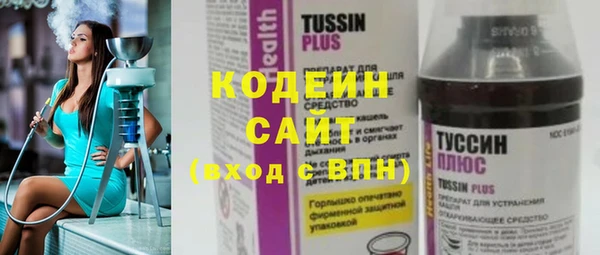 ешки Пересвет