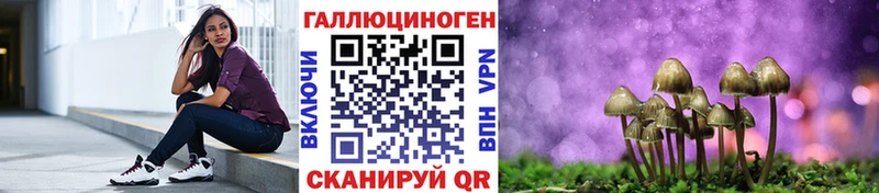 Псилоцибиновые грибы MAGIC MUSHROOMS  Купить  Троицк 